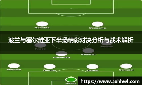 B体育bsports