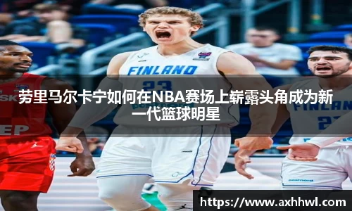 bsports官网入口