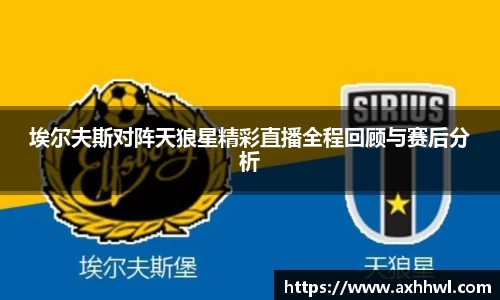 B体育bsports