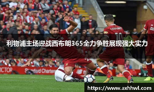 bsports官网入口