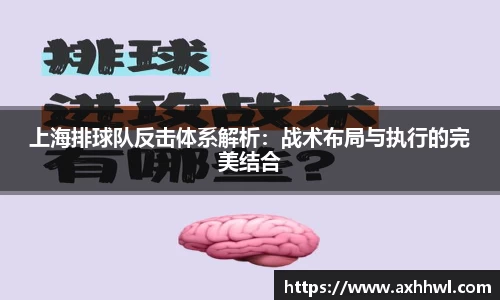 上海排球队反击体系解析：战术布局与执行的完美结合